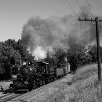Skookum on the Niles Canyon Railway 2021