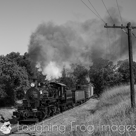Skookum on the Niles Canyon Railway 2021