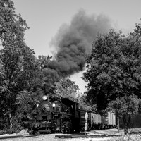 Skookum on the Niles Canyon Railway 2021