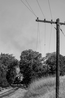 Skookum on the Niles Canyon Railway 2021