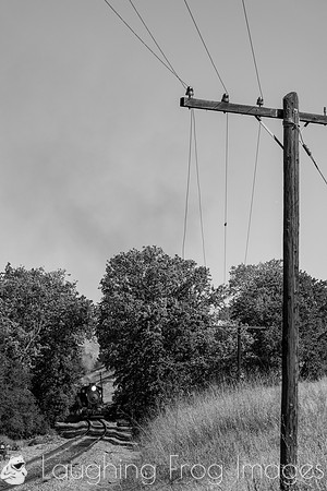 Skookum on the Niles Canyon Railway 2021