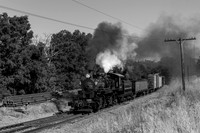 Skookum on the Niles Canyon Railway 2021