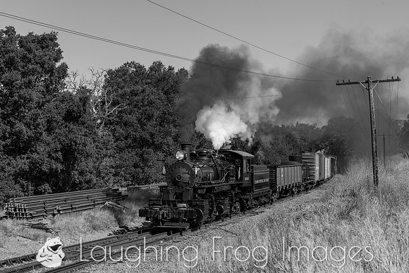 Skookum on the Niles Canyon Railway 2021