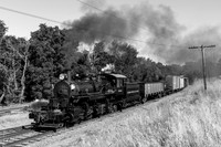 Skookum on the Niles Canyon Railway 2021