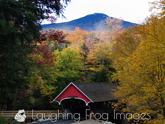 Pemigewasset River Covered Bridge