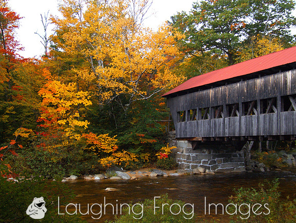 Albany Covered Bridge, Swift River 4