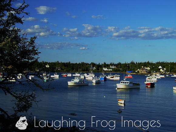 Bass Harbor, Bernard ME 5