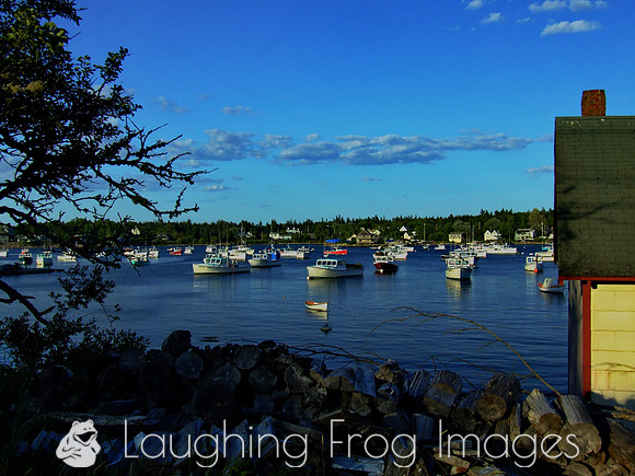 Bass Harbor, Bernard ME 4
