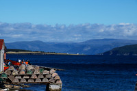 Frenchman's Cove, NL 3