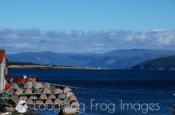 Frenchman's Cove, NL 3