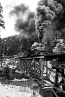 DSNG 2020 Winter Photographer's Special, High Bridge