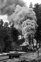 DSNG 2020 Winter Photographer's Special, Pinkerton Siding