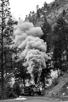 DSNG 2020 Winter Photographer's Special, Pinkerton Siding