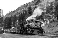 DSNG 2020 Winter Photographer's Special, Pinkerton Siding