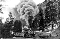 DSNG 2020 Winter Photographer's Special, Pinkerton Siding