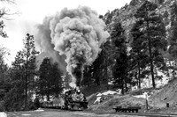 DSNG 2020 Winter Photographer's Special, Pinkerton Siding
