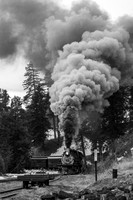 DSNG 2020 Winter Photographer's Special, Pinkerton Siding