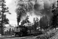 DSNG 2020 Winter Photographer's Special, Pinkerton Siding