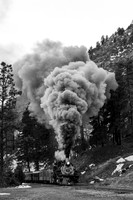 DSNG 2020 Winter Photographer's Special, Pinkerton Siding