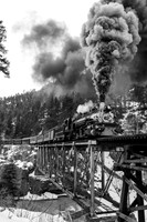 DSNG 2020 Winter Photographer's Special, High Bridge