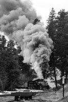 DSNG 2020 Winter Photographer's Special, Pinkerton Siding