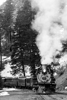 DSNG 2020 Winter Photographer's Special, Pinkerton Siding