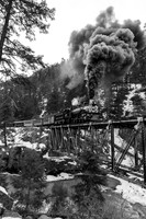 DSNG 2020 Winter Photographer's Special, High Bridge