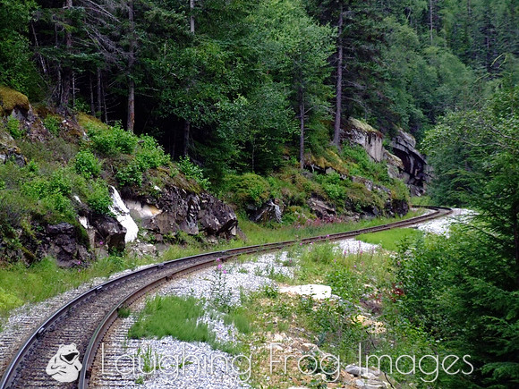 White Pass & Yukon