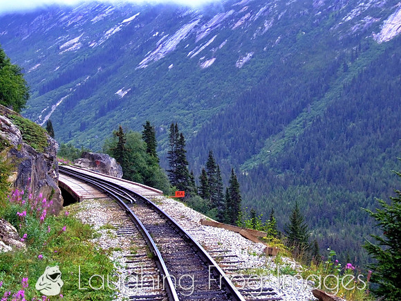 White Pass & Yukon