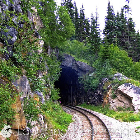White Pass & Yukon