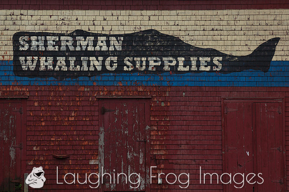 Sherman Whaling Supplies, Lunenburg NS