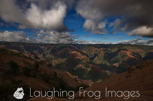Waimea Canyon, Kauai HI