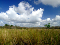 Clouds over the Everglades