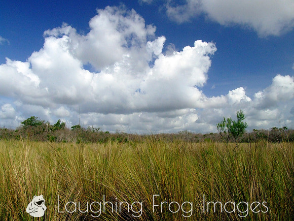 Clouds over the Everglades