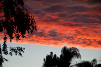 Red Clouds at sunset