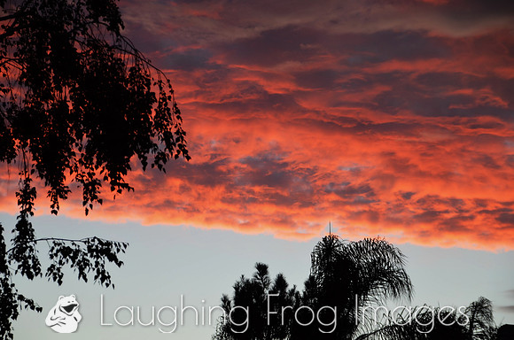 Red Clouds at sunset