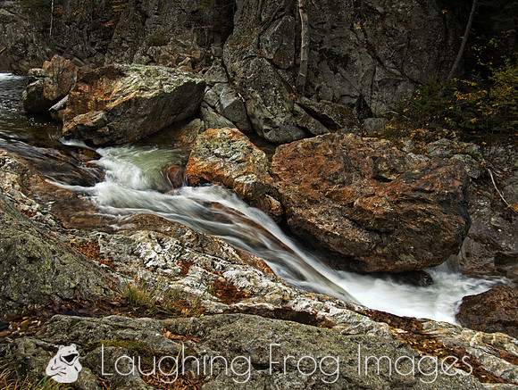 above Glen Ellis Falls NH 2