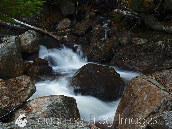 above Glen Ellis Falls NH 4