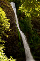 Horsetail Falls OR