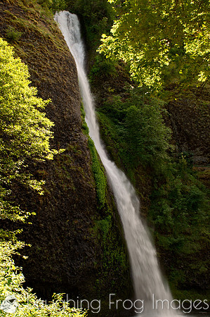 Horsetail Falls OR