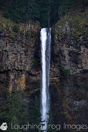 Multnomah Falls OR 1