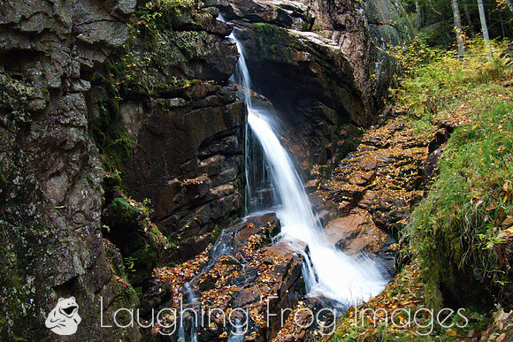 The Flume Gorge State Park NH 1