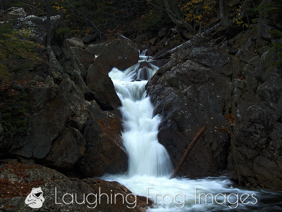 above Glen Ellis Falls NH 3