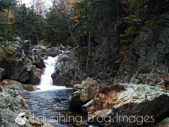 above Glen Ellis Falls NH 1
