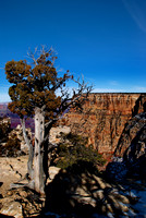 Grand Canyon N.P. 6