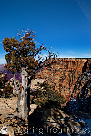Grand Canyon N.P. 6