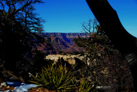 Grand Canyon N.P. 8