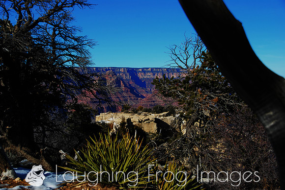 Grand Canyon N.P. 8
