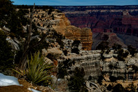 Grand Canyon N.P. 18