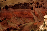 Grand Canyon N.P. 3